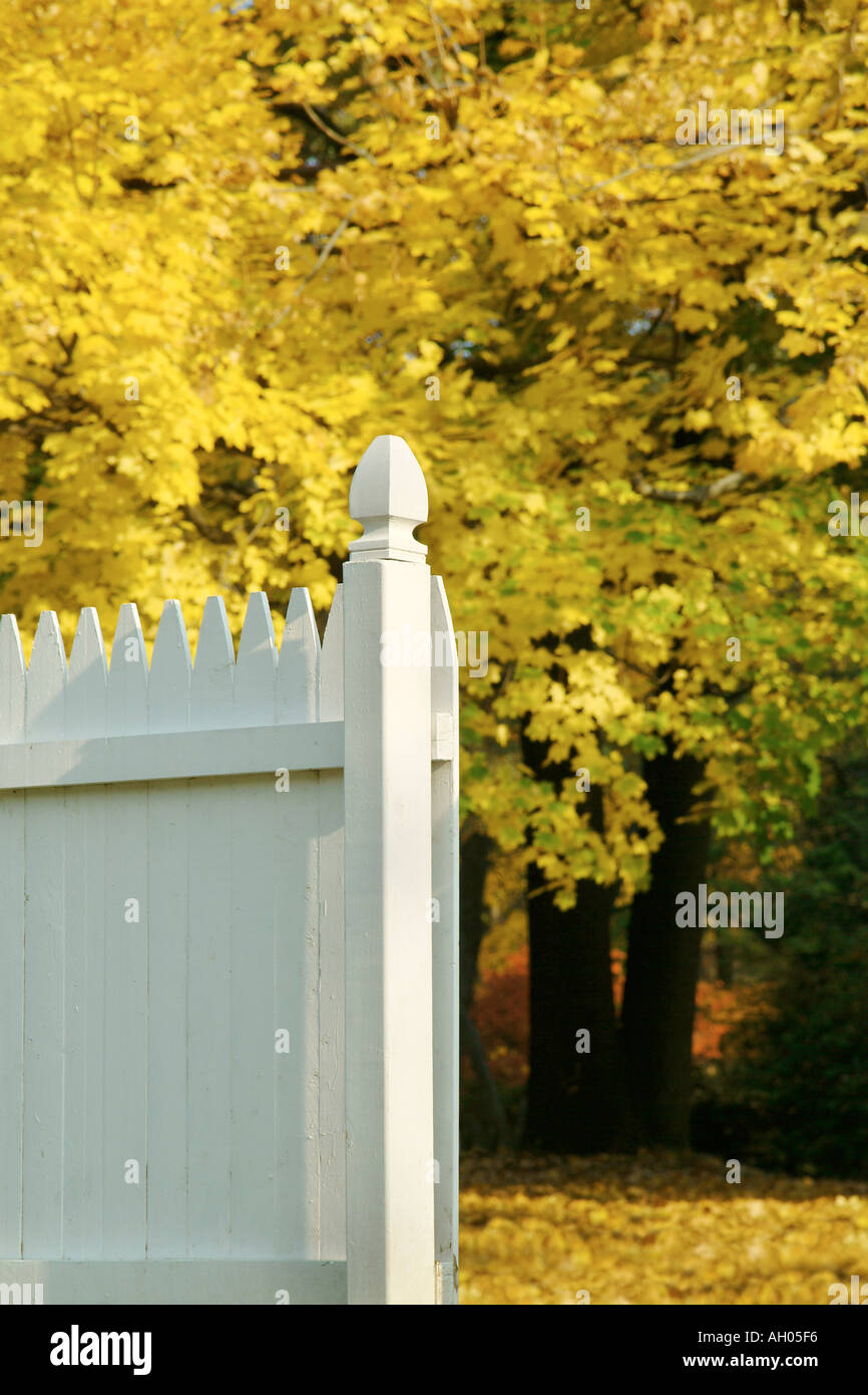 White Picket Fence giallo con foglie di autunno e alberi, Pennsylvania rurale USA Foto Stock