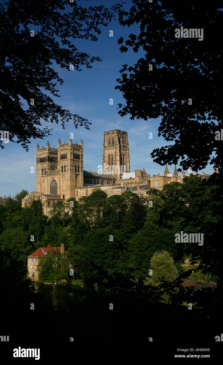 La Cattedrale di Durham e il vecchio Fulling Mill, Fiume usura, Durham, County Durham, England, Regno Unito Foto Stock