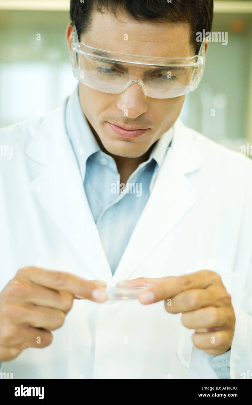 Scienziato maschio holding capsula di Petri Foto Stock