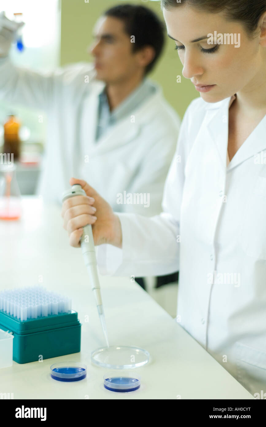 Giovane donna che lavorano nel laboratorio scientifico, tenendo un contagocce su piastra di Petri Foto Stock