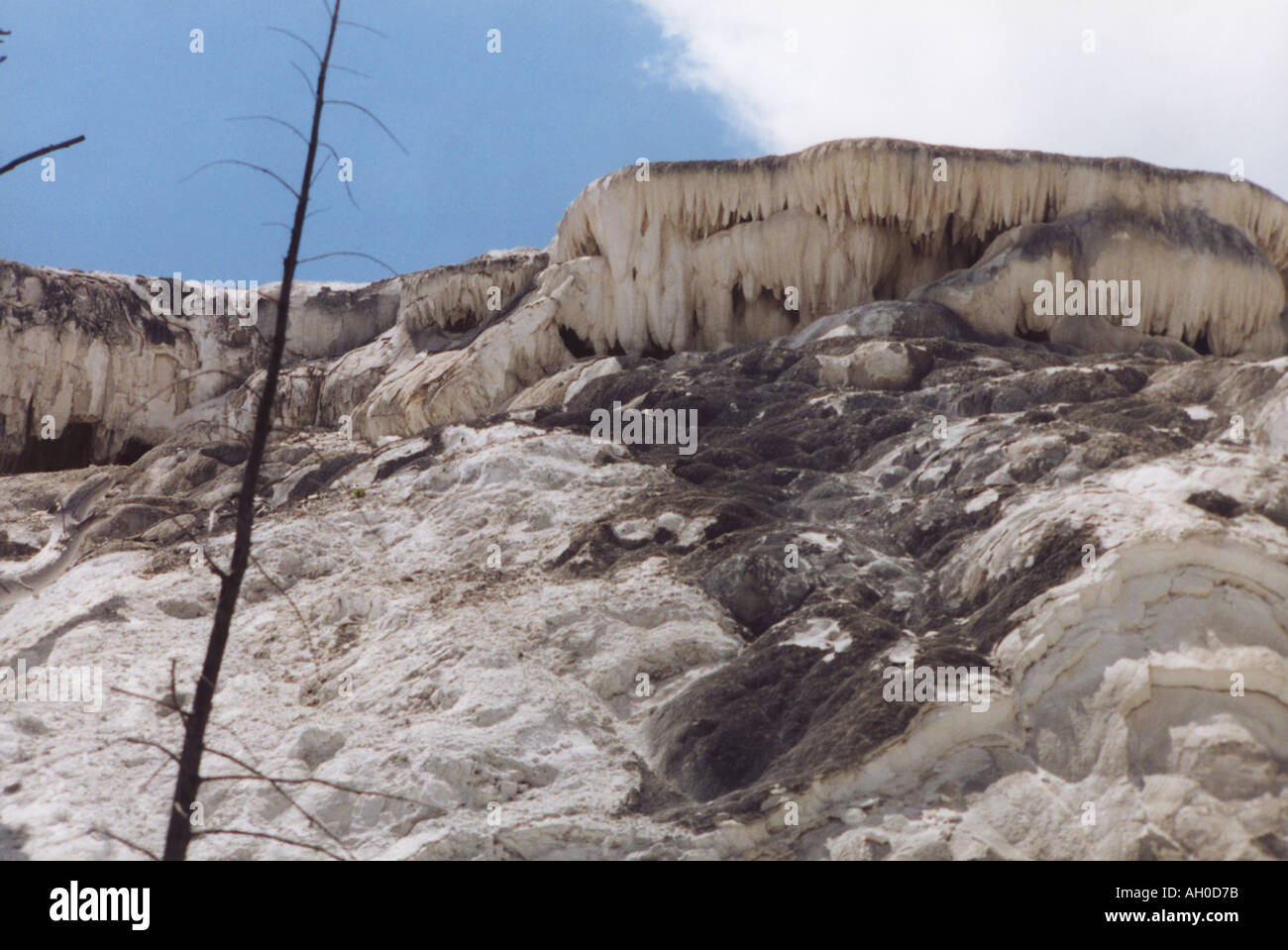 Formazioni mineralizzati di Mammoth Hot Springs, il Parco Nazionale di Yellowstone, Wyoming Foto Stock