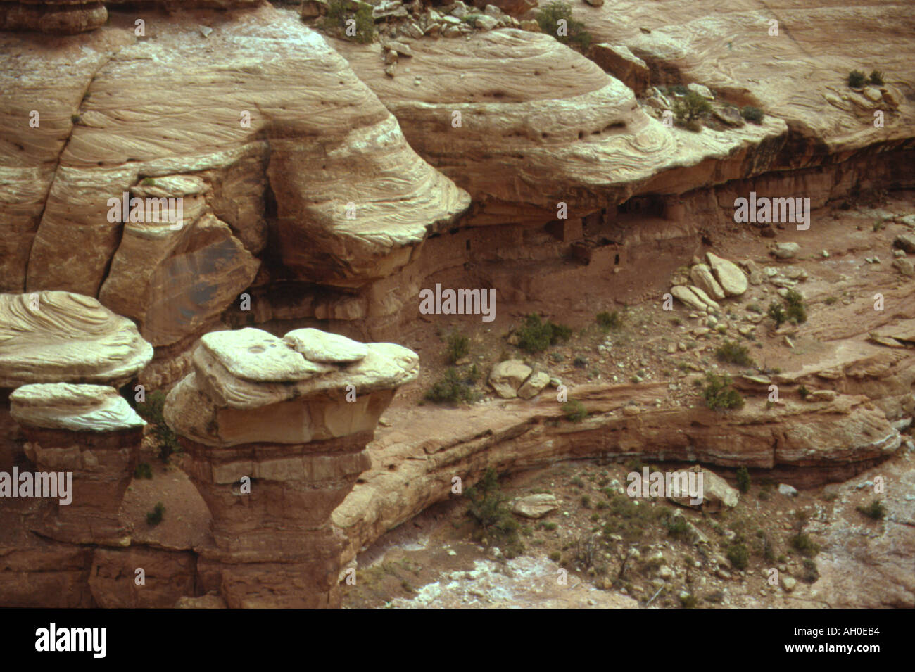 Casa Luna rovina - un antico nascosto indiani Anasazi cliff dimora nel Canyon McCloyds, Utah Foto Stock