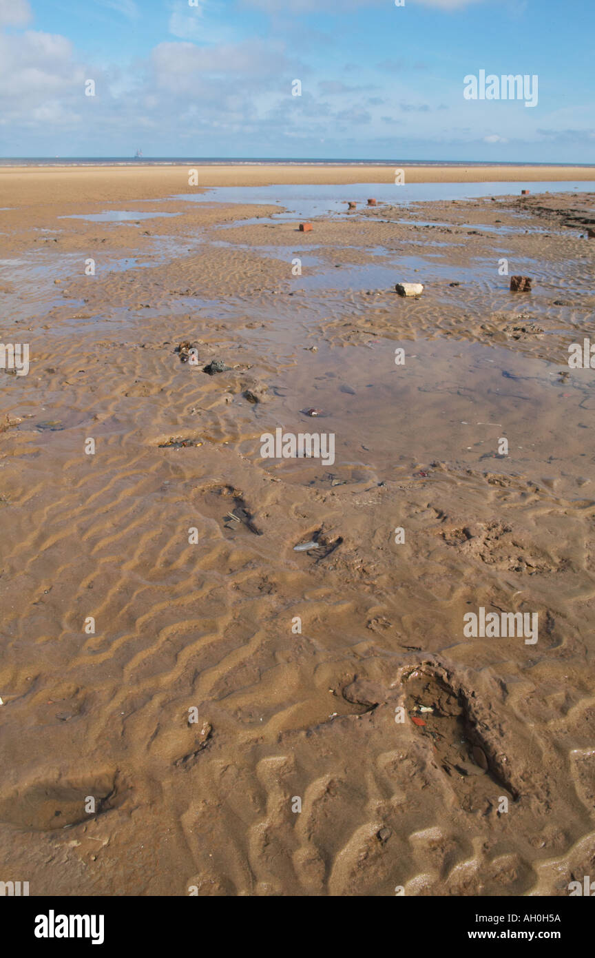 Impronte preistoriche conservate nella torba sulla spiaggia Formby Merseyside Foto Stock