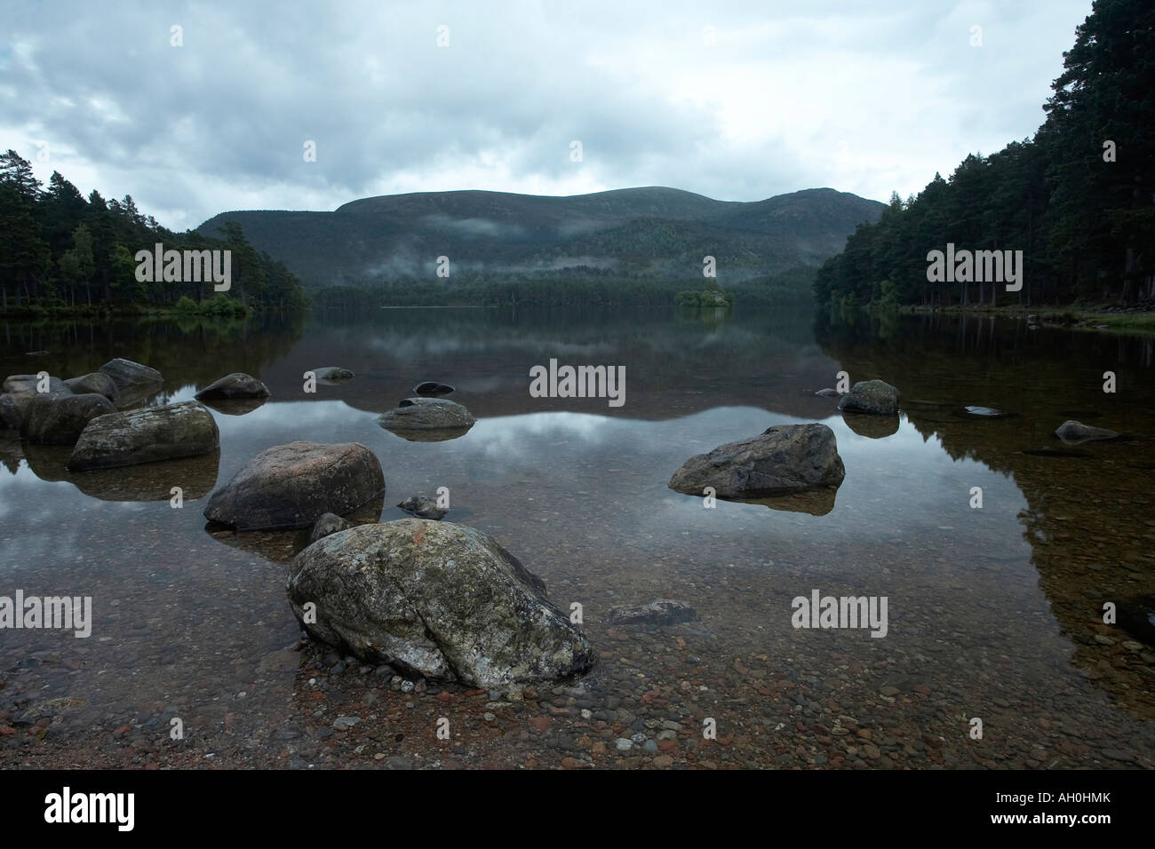 Loch un Eleine Rothiemurchus in Scozia Foto Stock