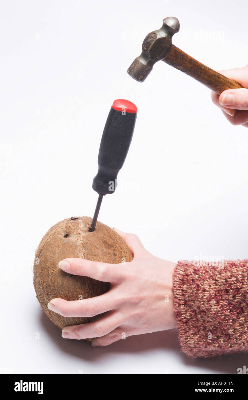 Le mani con un cacciavite e un martello per aprire una noce di cocco Foto  stock - Alamy
