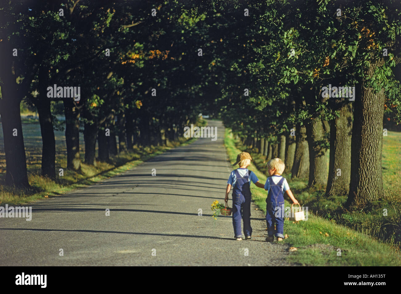 I ragazzi in estate con cesti percorrendo a piedi viale alberato di strada di campagna in Svezia Foto Stock