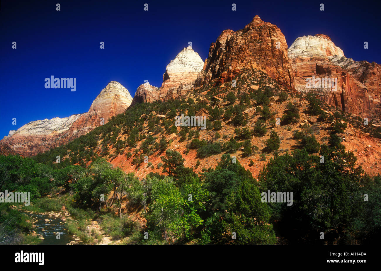 Zion National Park nello Utah Stati Uniti d'America Stati Uniti d'America del Nord Foto Stock