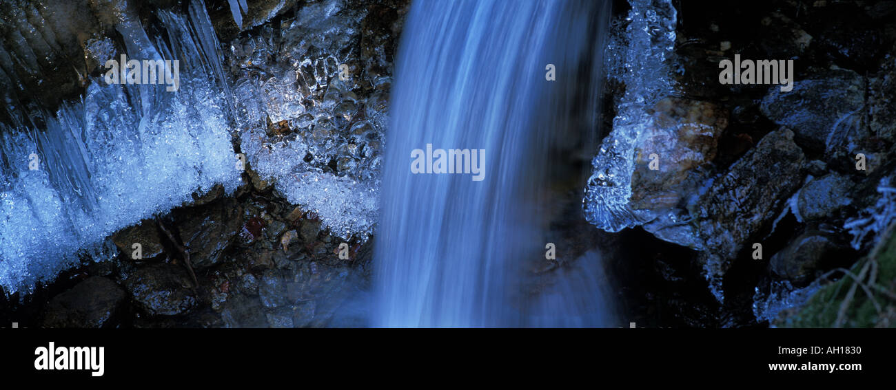 Il ghiaccio è crescente sulle rive di una foresta creek. Foto Stock