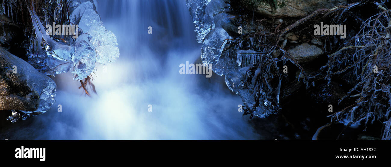 Il ghiaccio è crescente sulle rive di una foresta creek. Foto Stock