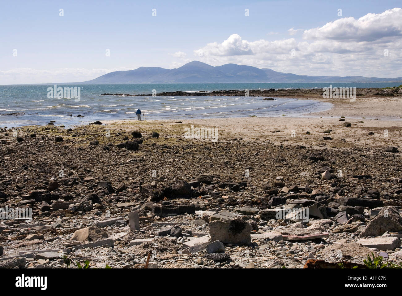 Regno Unito Irlanda del Nord la contea di Down Rossglass man walking cane sulla spiaggia a Dundrum Bay vicino alle montagne di Mourne Foto Stock