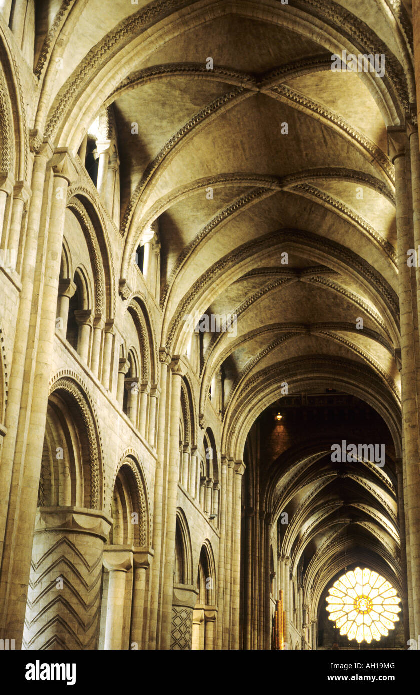 La Cattedrale di Durham navata est rosone interno medievale romanico gotico Norman Inizio architettura inglese con soffitto a volta vault Foto Stock