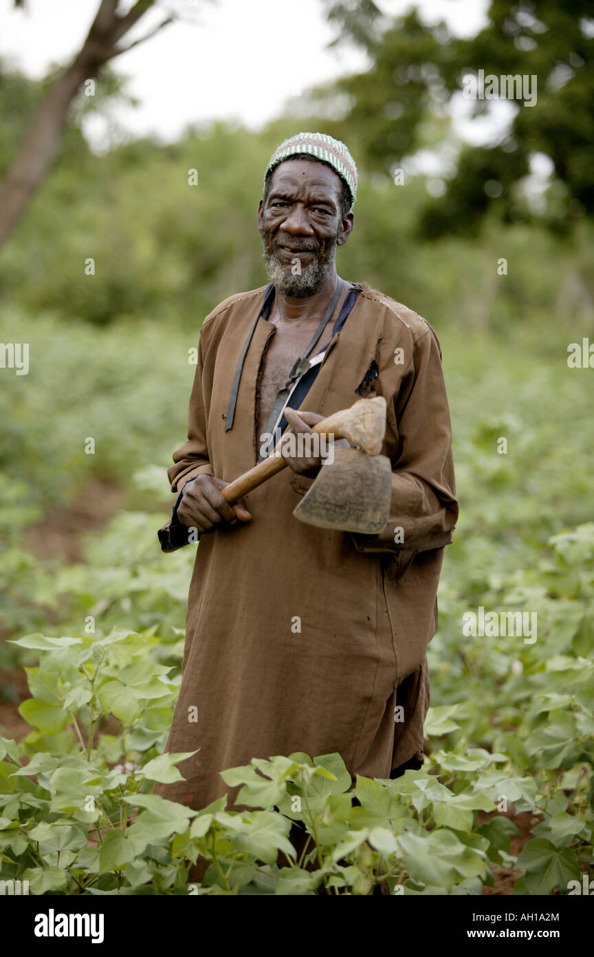 In cotone organico field worker Mali Africa Foto Stock