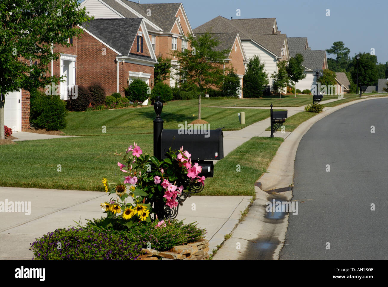 Suburban street zona di sviluppo con il marciapiede, cassetta postale, fiori Foto Stock