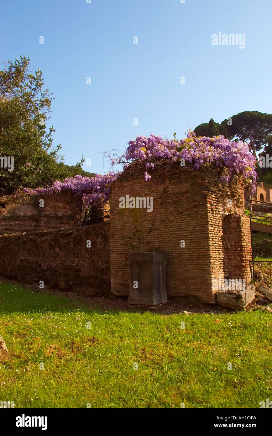 Roma Italia resti in mattoni e ricoperta con fiori selvatici Foto Stock