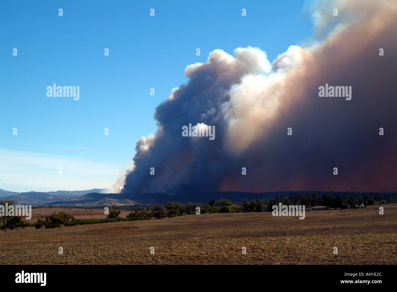 Il fumo dal fuoco di cedro Foto Stock