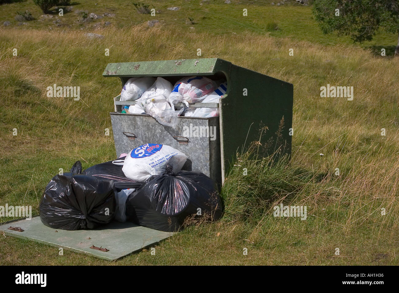 Spazzatura traboccante Cairngorms National Park, Scotland, Regno Unito Foto Stock