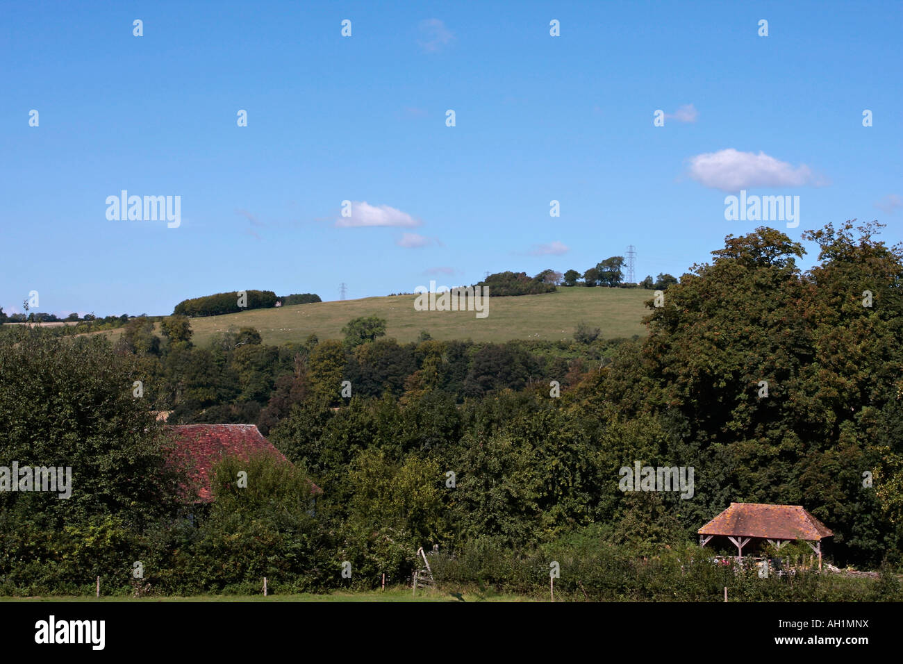 Edifici rurali tradizionali nella campagna inglese a Singleton, West Sussex Foto Stock