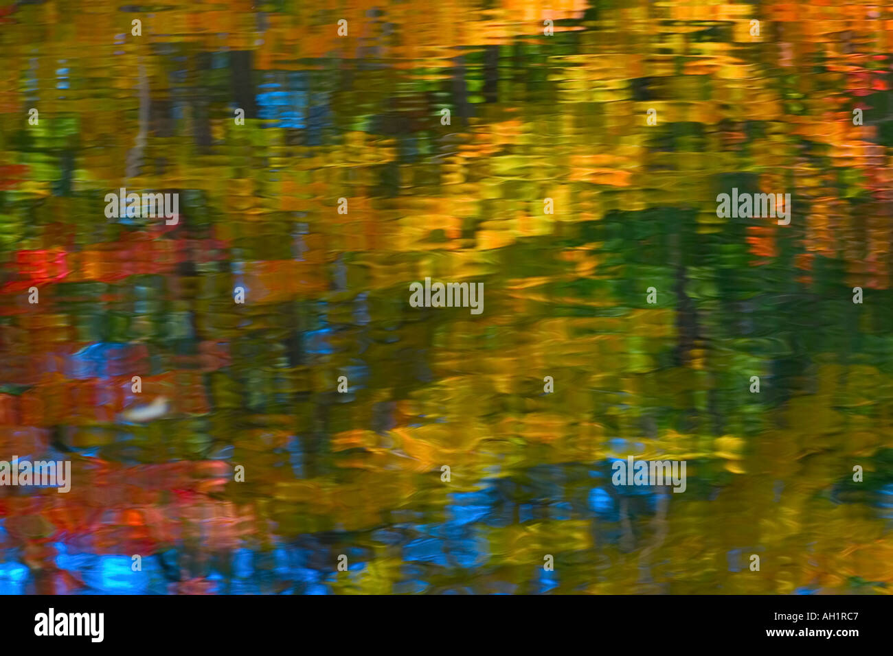 In autunno gli alberi si riflette in un laghetto con un luminoso rosso giallo arancione verde e blu Foto Stock
