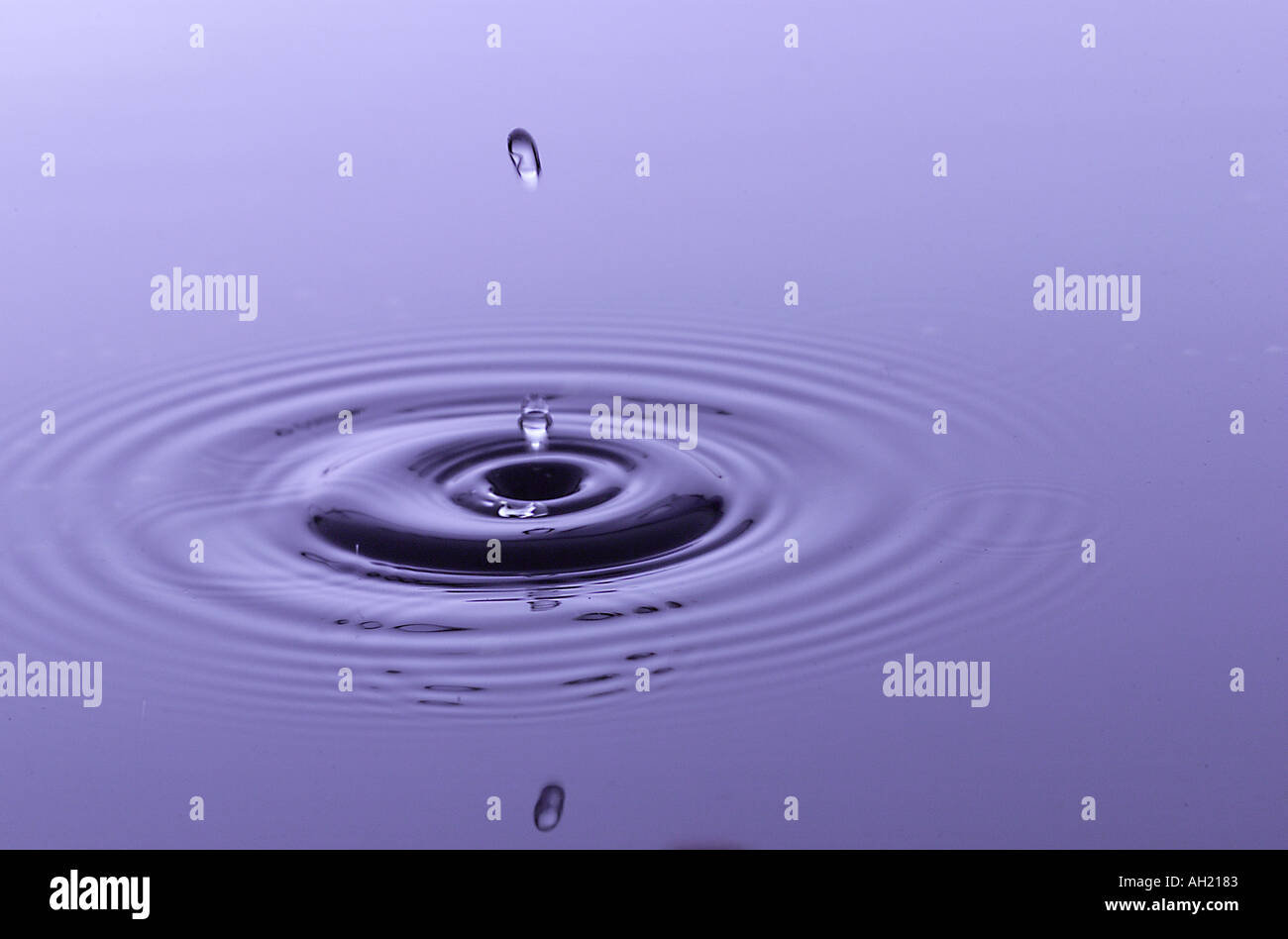 Goccia di acqua in acqua calma Foto Stock