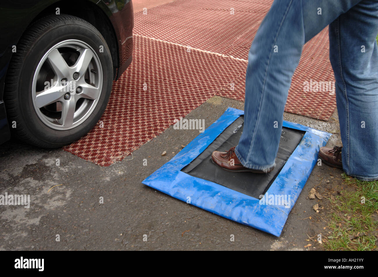 Afta precauzioni, Dorset, Gran Bretagna, Regno Unito Foto Stock