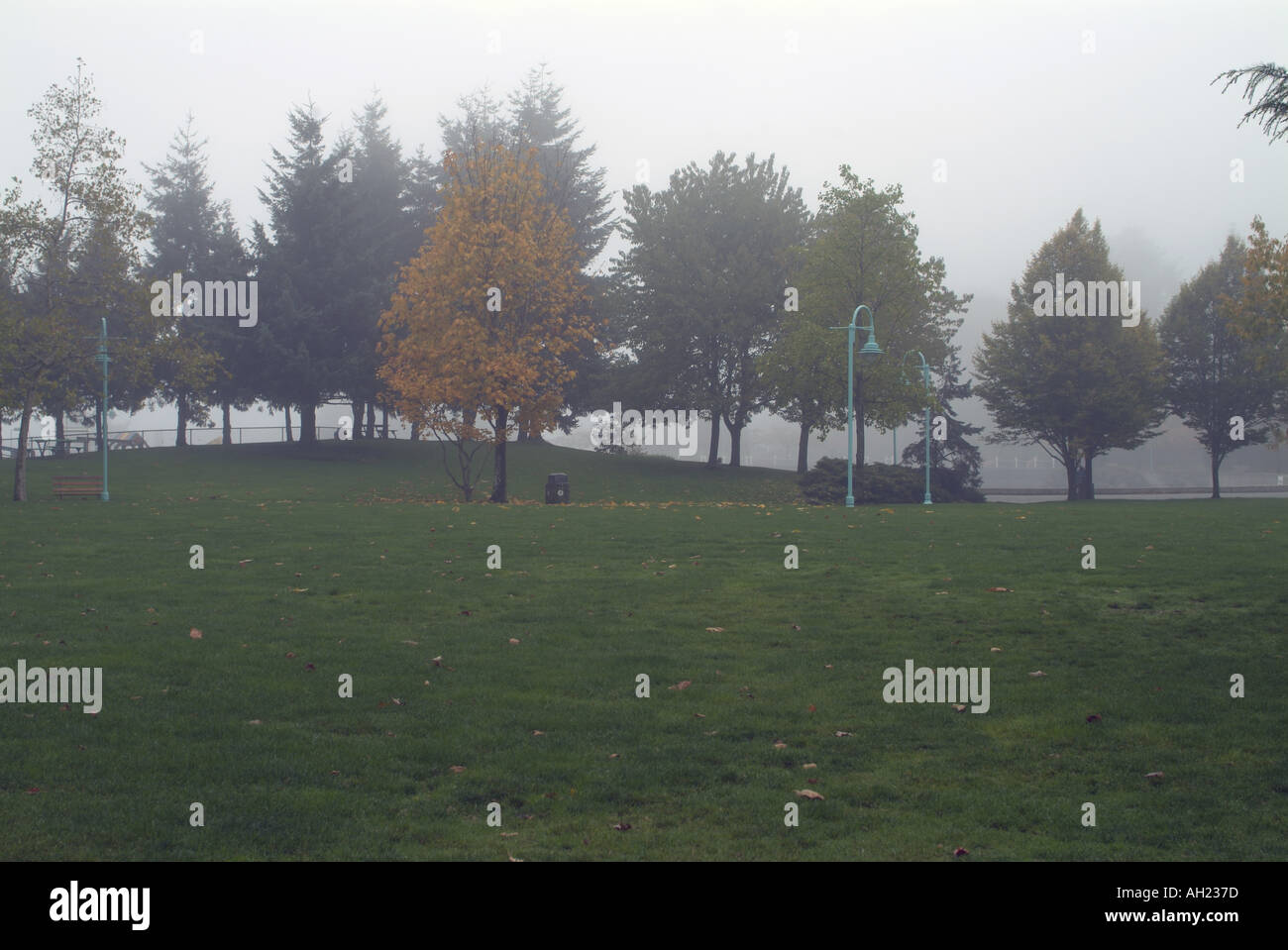 Maffeo Sutton Park in caduta di Nanaimo Vancouver Island British Columbia Canada Foto Stock