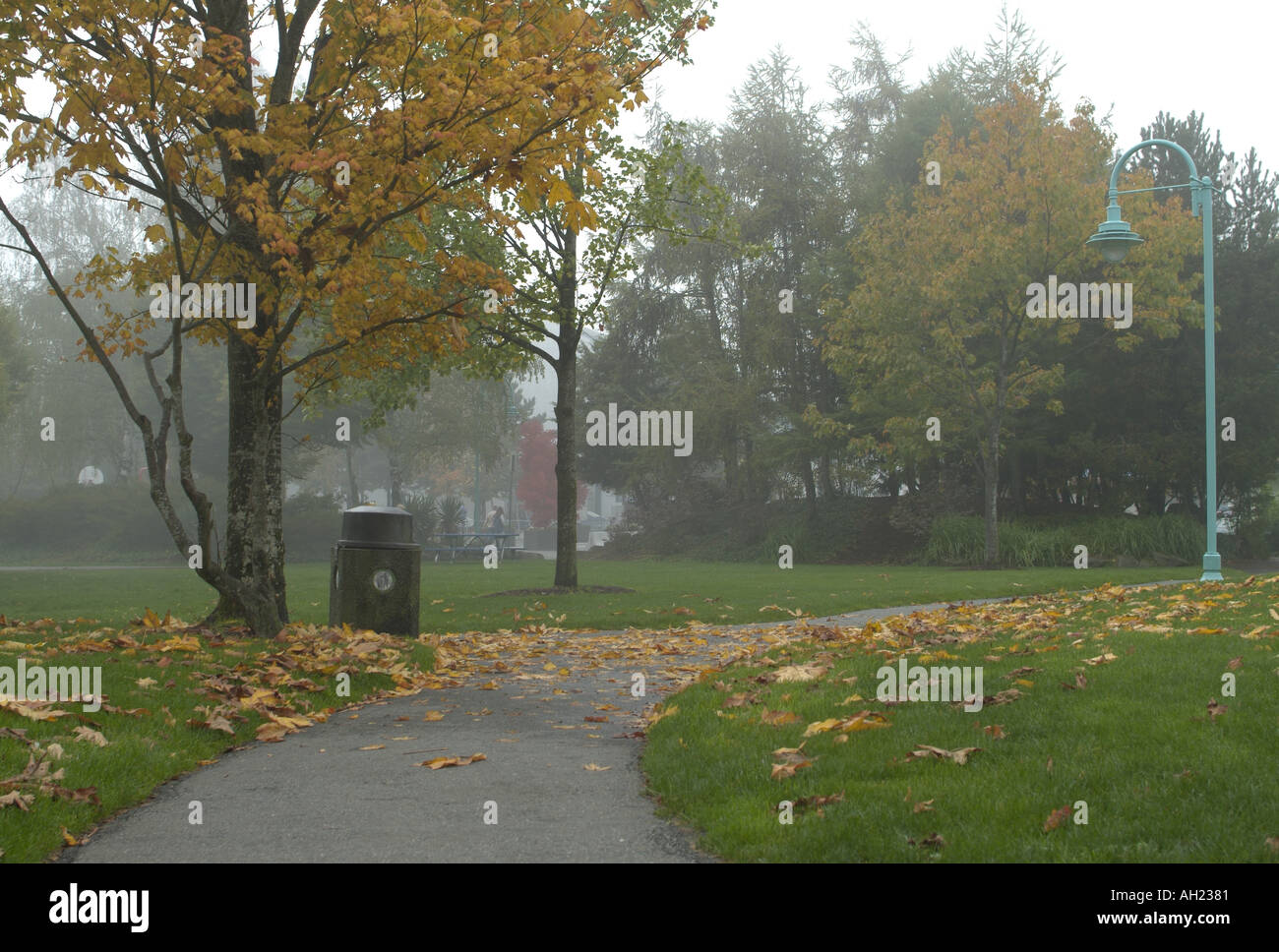 Maffeo Sutton Park in caduta di Nanaimo Vancouver Island British Columbia Canada Foto Stock