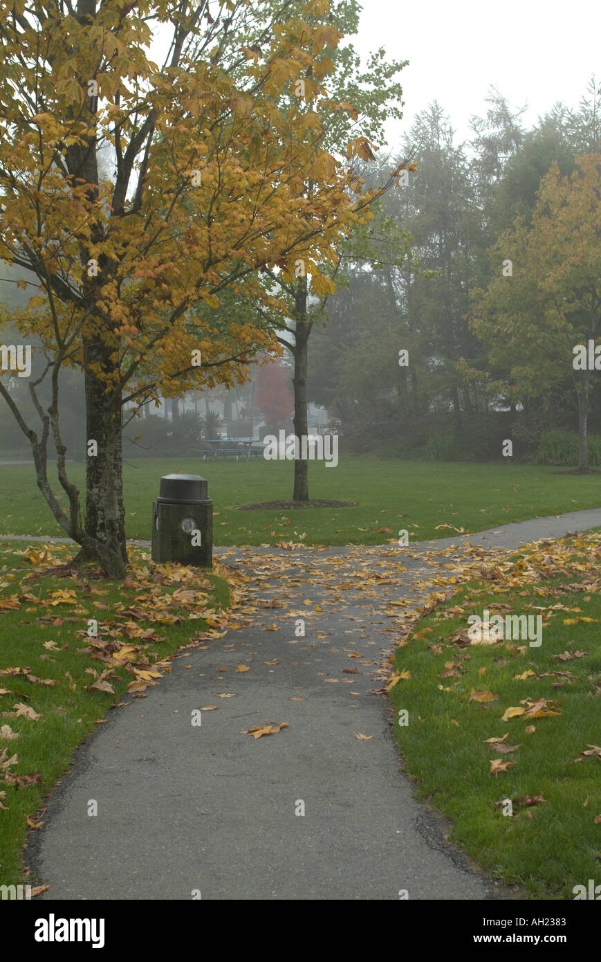 Maffeo Sutton Park in caduta di Nanaimo Vancouver Island British Columbia Canada Foto Stock