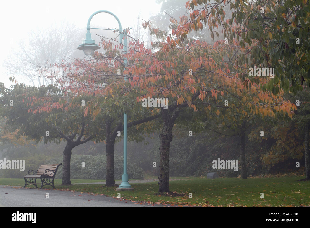 Una panchina nel parco in una fitta nebbia di Nanaimo Vancouver Island British Columbia Canada Foto Stock