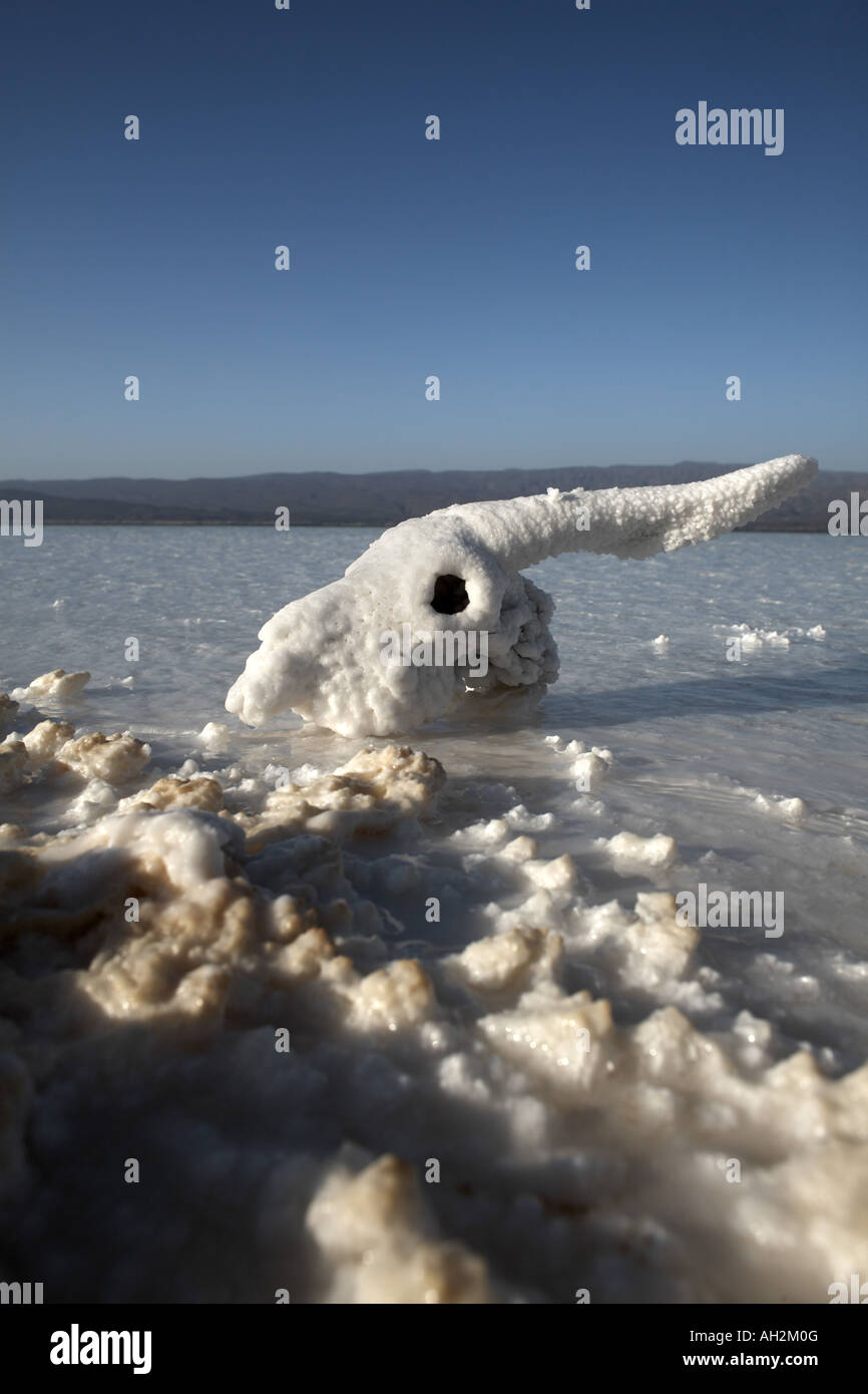 Il lago Assal, Gibuti, Africa Foto Stock