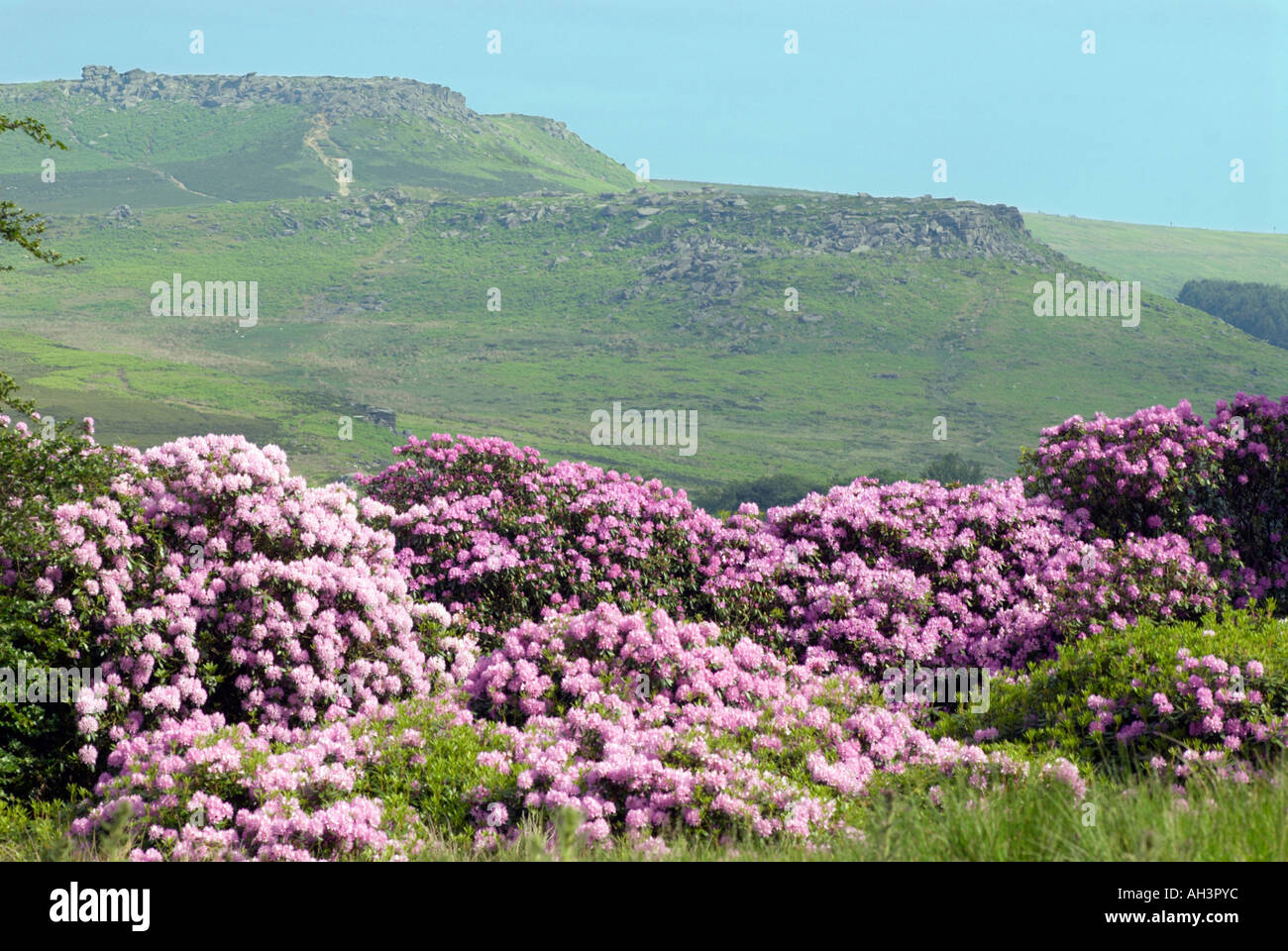 "Carl Wark' e Higgar Tor in primavera nel Derbyshire "Gran Bretagna" Foto Stock