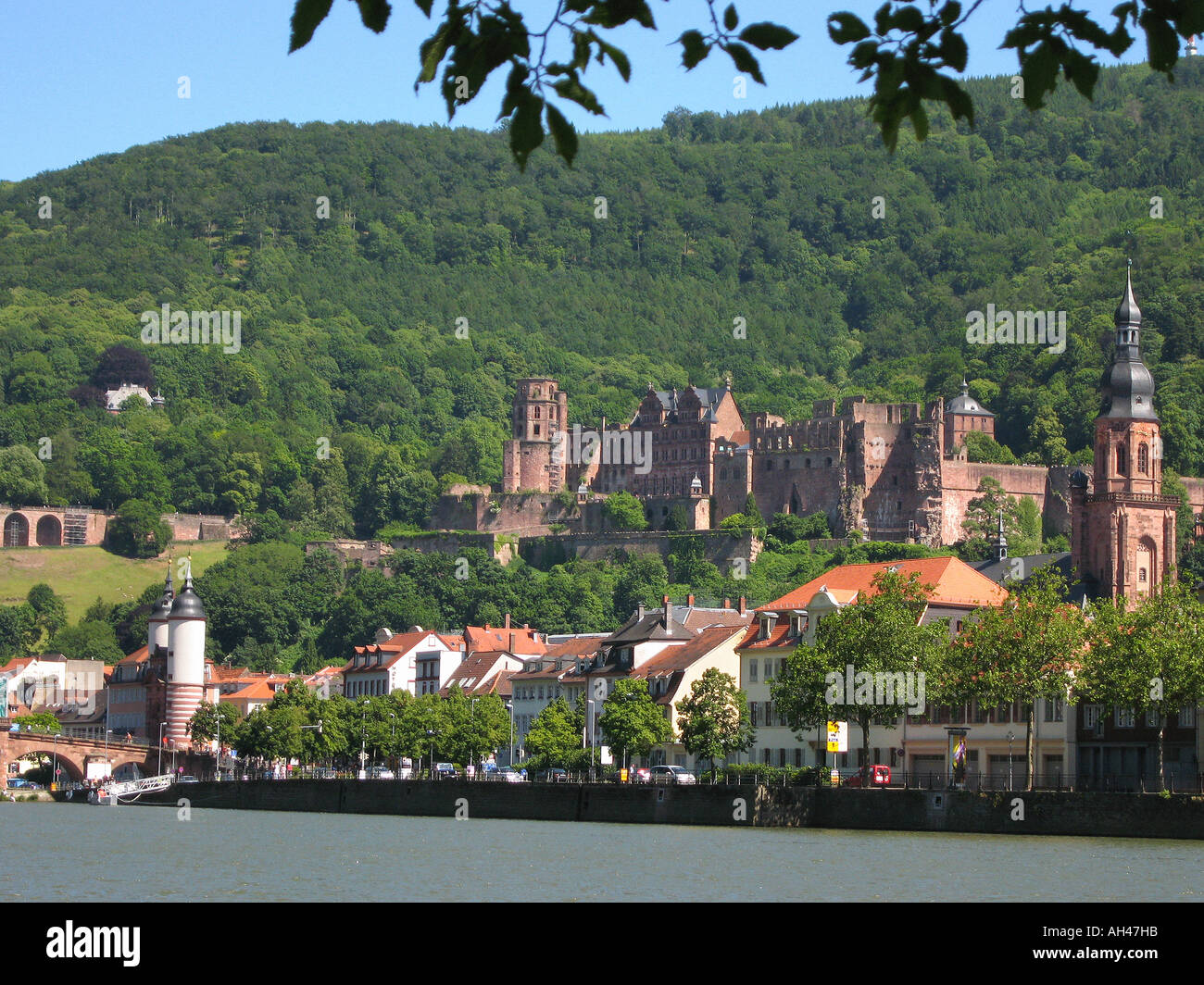 Castello di Heidelberg Heidelberger Schloss Foto Stock