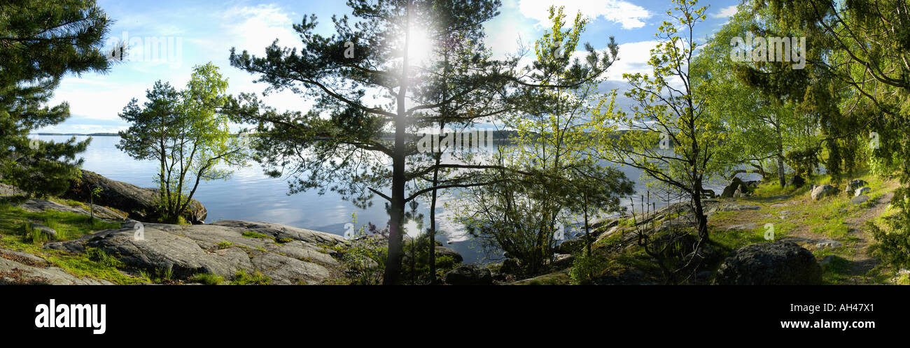 Vista sul lago da una lussureggiante foresta, Svezia Foto Stock