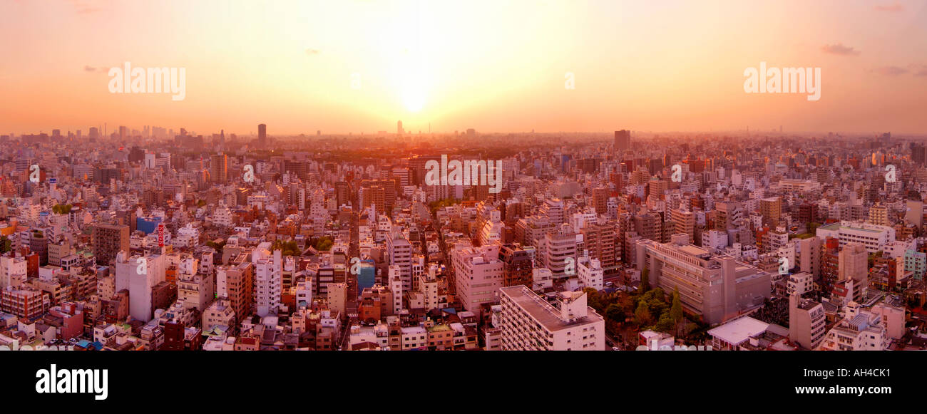 Vista di Tokyo al tramonto, Tokyo, Giappone Foto Stock