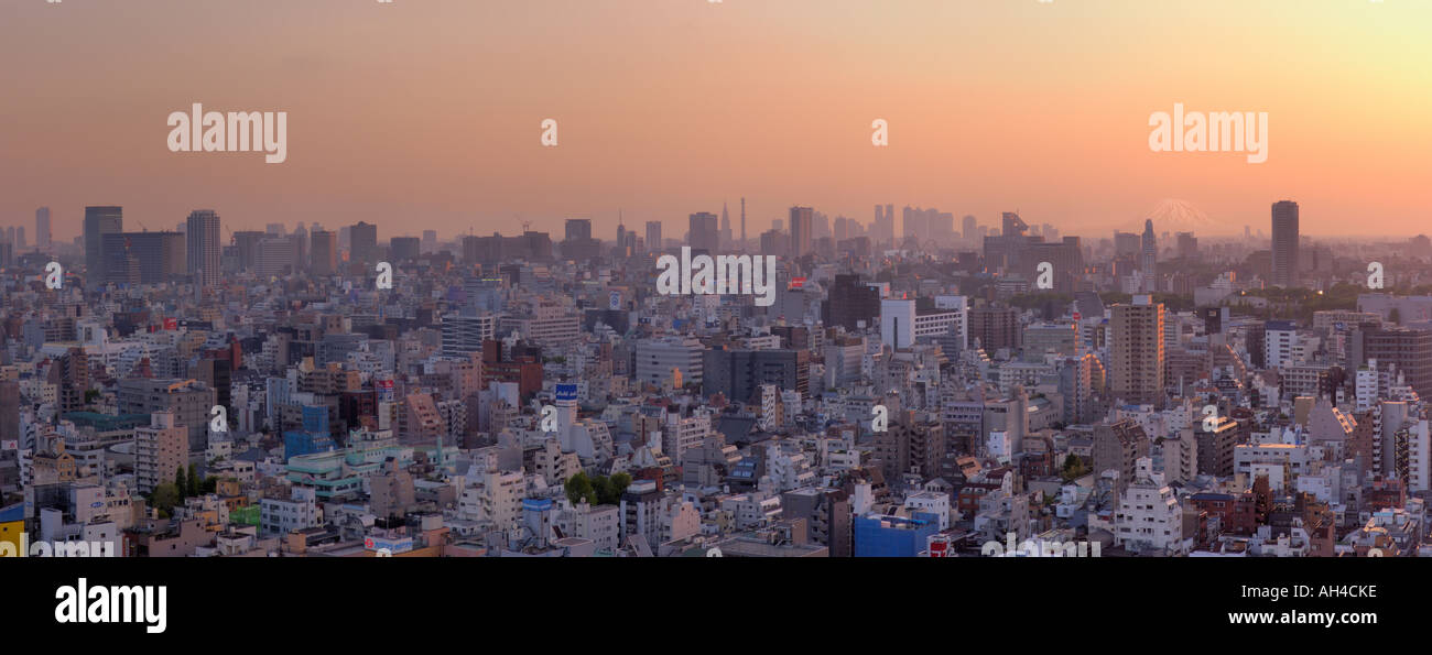 Vista di Tokyo e Mt. Fuji al crepuscolo, Tokyo, Giappone Foto Stock