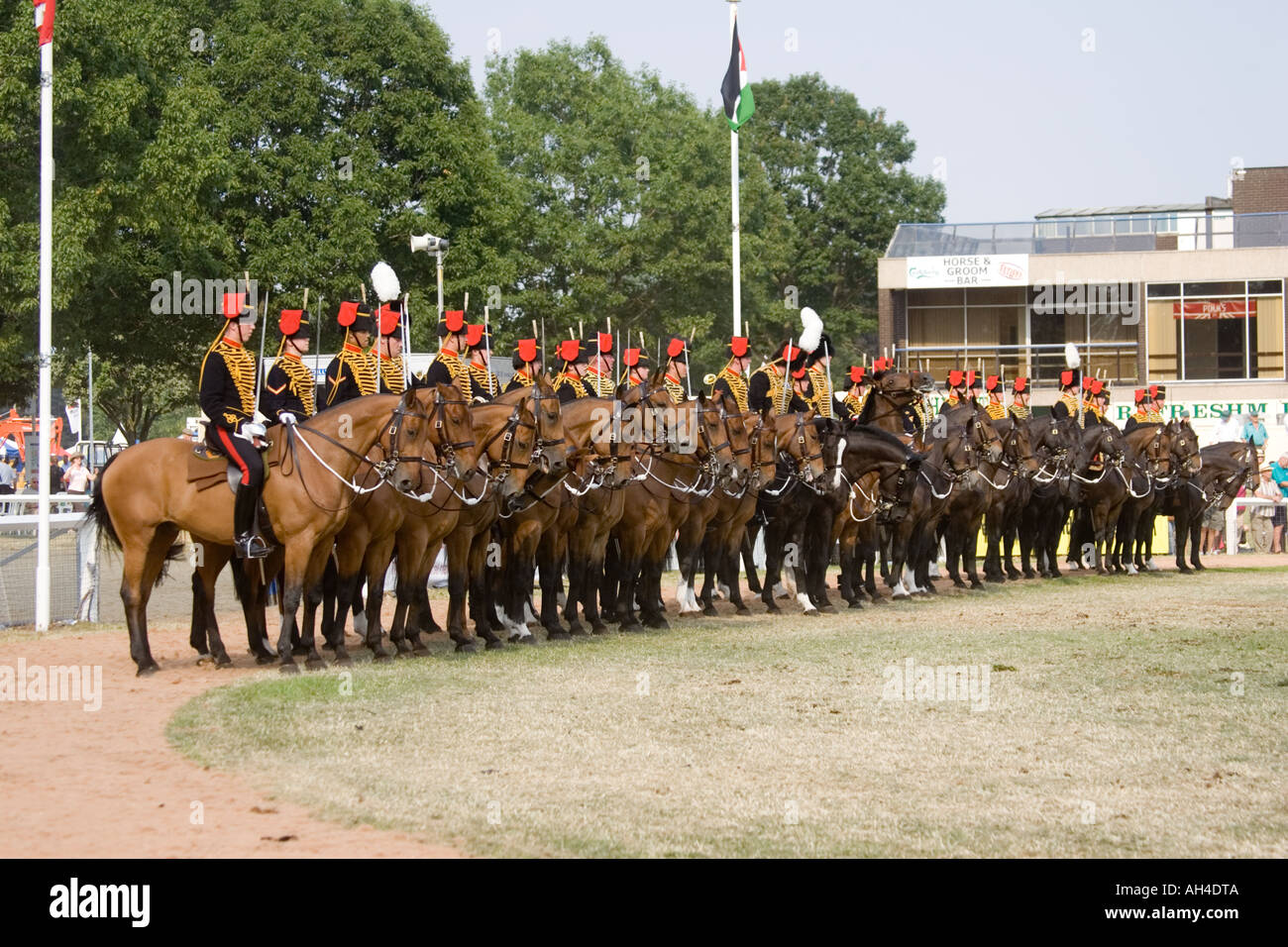Kings truppa cavallo Royal Artillery display in anello Grand Royal Show del Regno Unito Stoneleigh Foto Stock