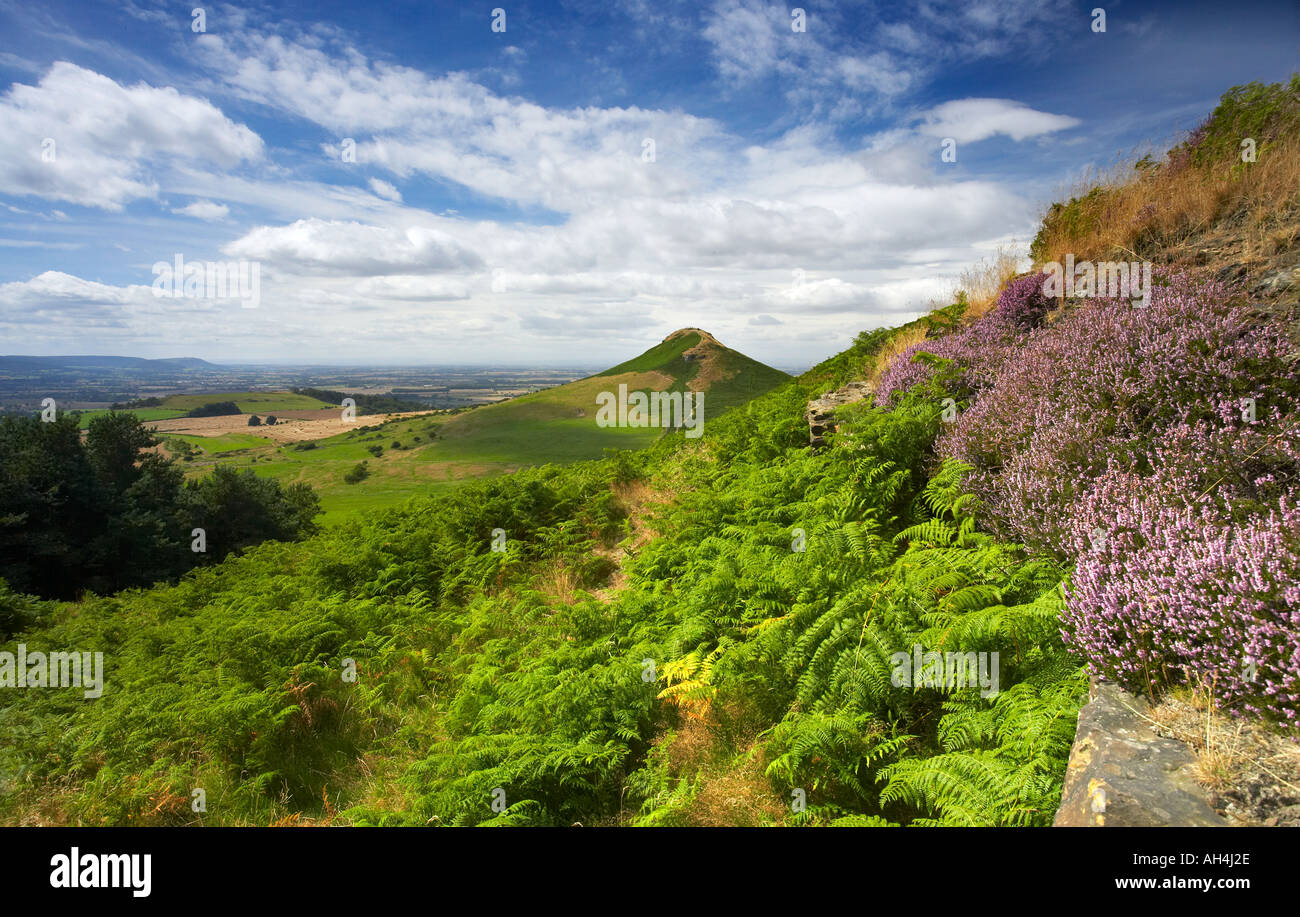 Roseberry Topping da poco Roseberry North Yorkshire Moors National Park nello Yorkshire Inghilterra Foto Stock