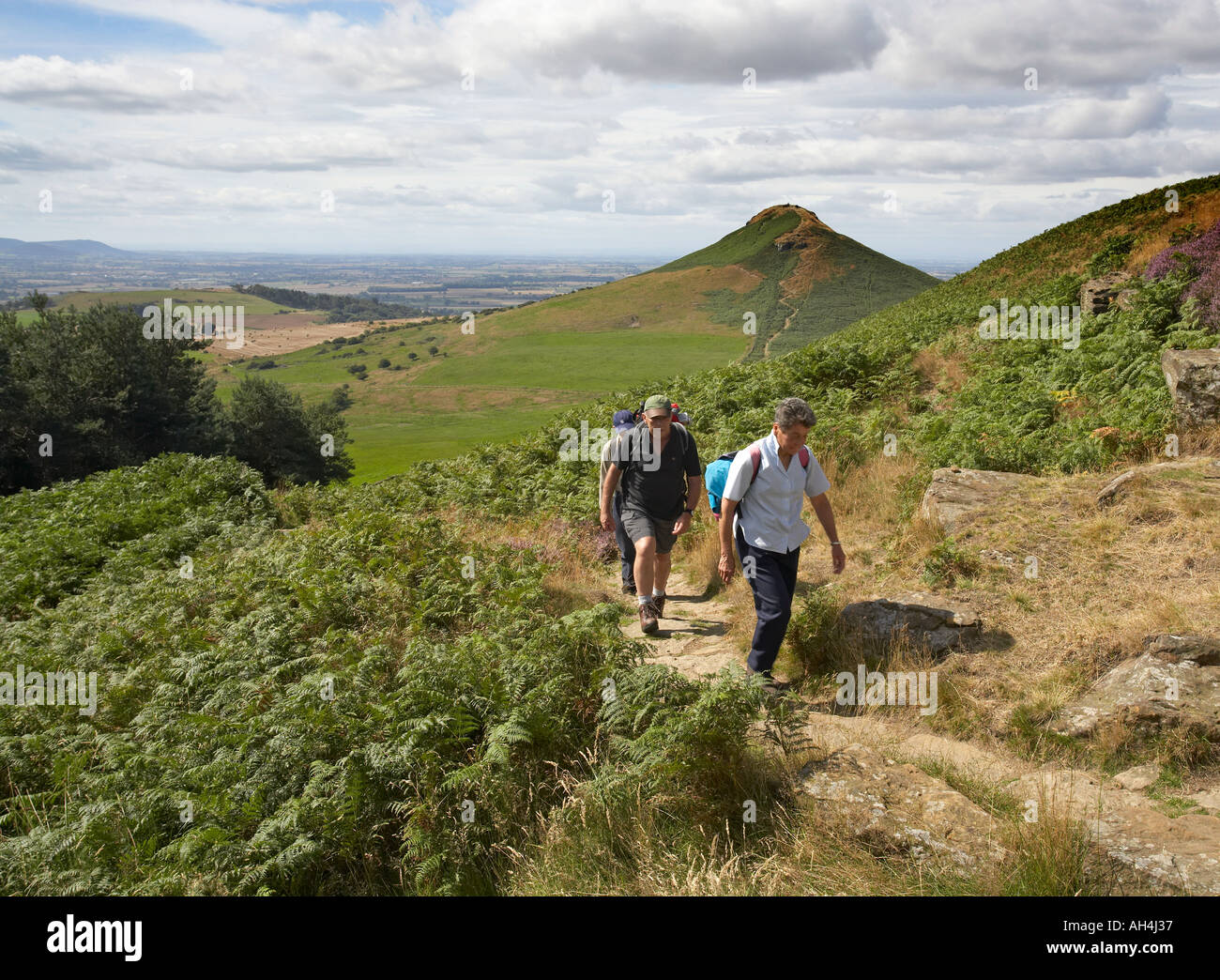 Roseberry Topping da poco Roseberry North Yorkshire Moors National Park nello Yorkshire Inghilterra Foto Stock