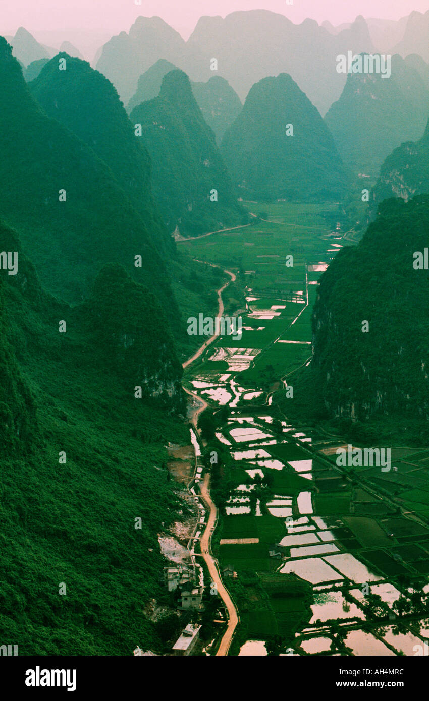 Montagne (sugartop montagne) e campi di riso all'alba, Yangshuo, Cina Foto Stock