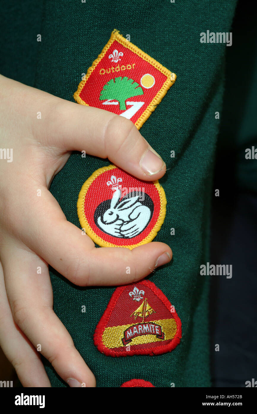 Scouting braccio di movimentazione Badges per conseguimento England Regno Unito Foto Stock