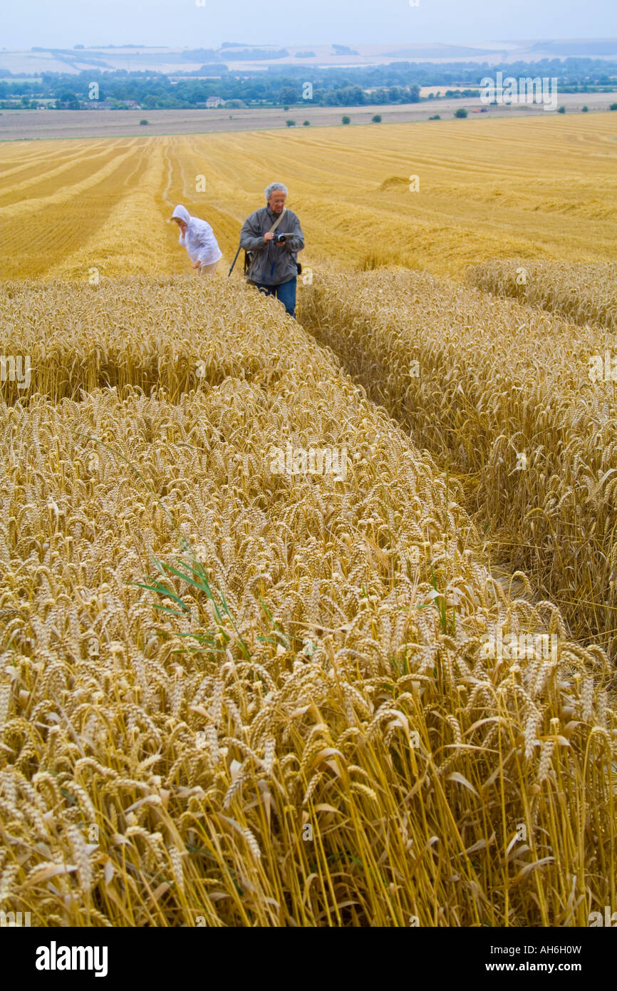 Crop Circles devon Foto Stock