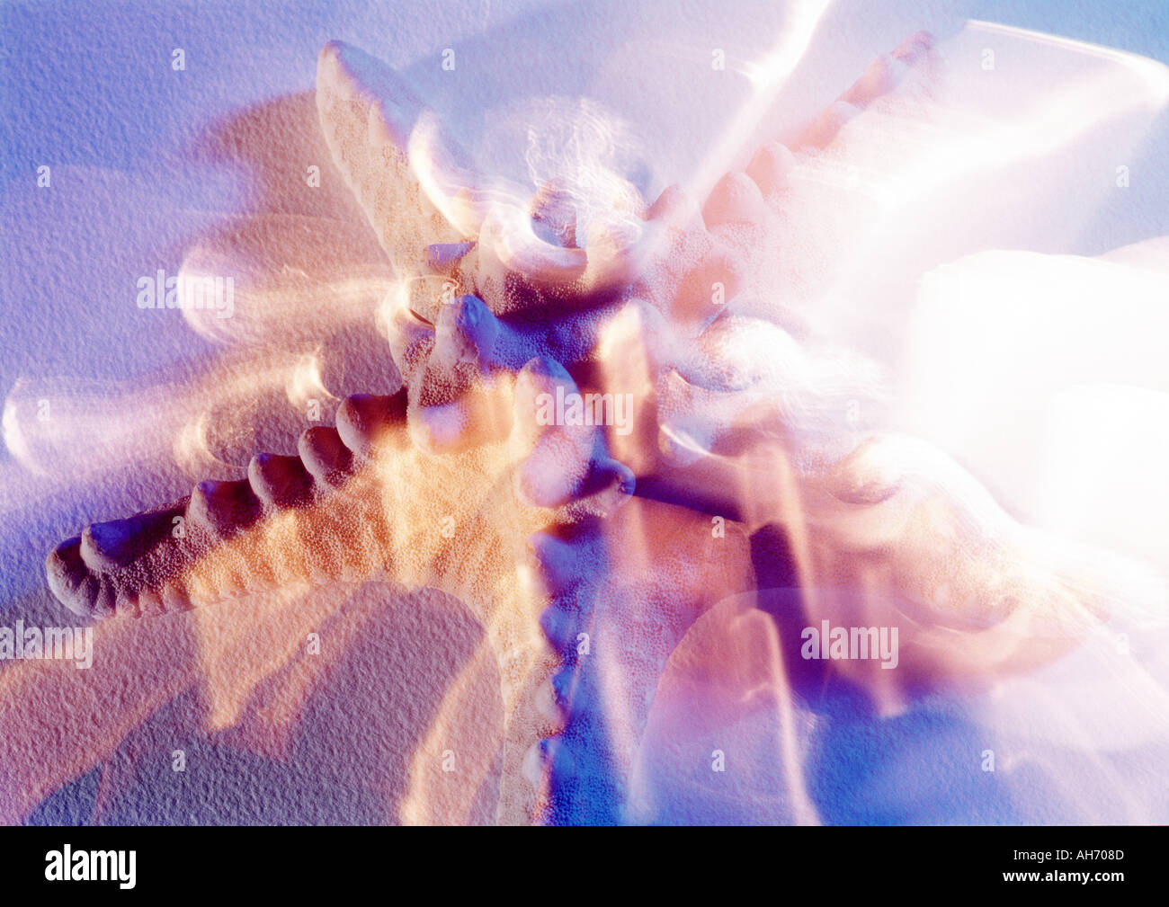 Dorato marrone e blu effetti testurizzati sulla shell Montag Foto Stock