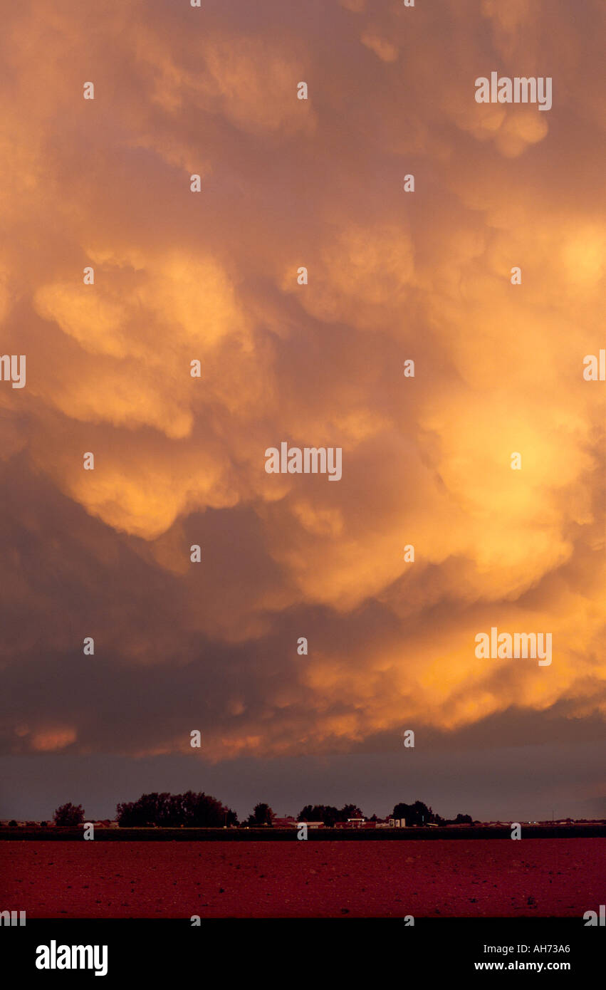 Nuvole temporalesche al tramonto su southwest Idaho Mammarian nuvole si carica di umidità Foto Stock