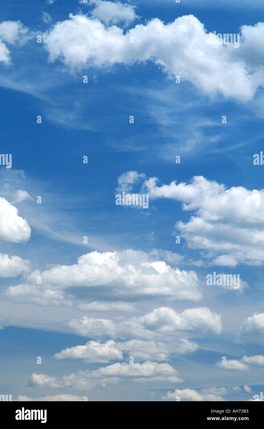 Cumulus nubi in un cielo blu Foto Stock