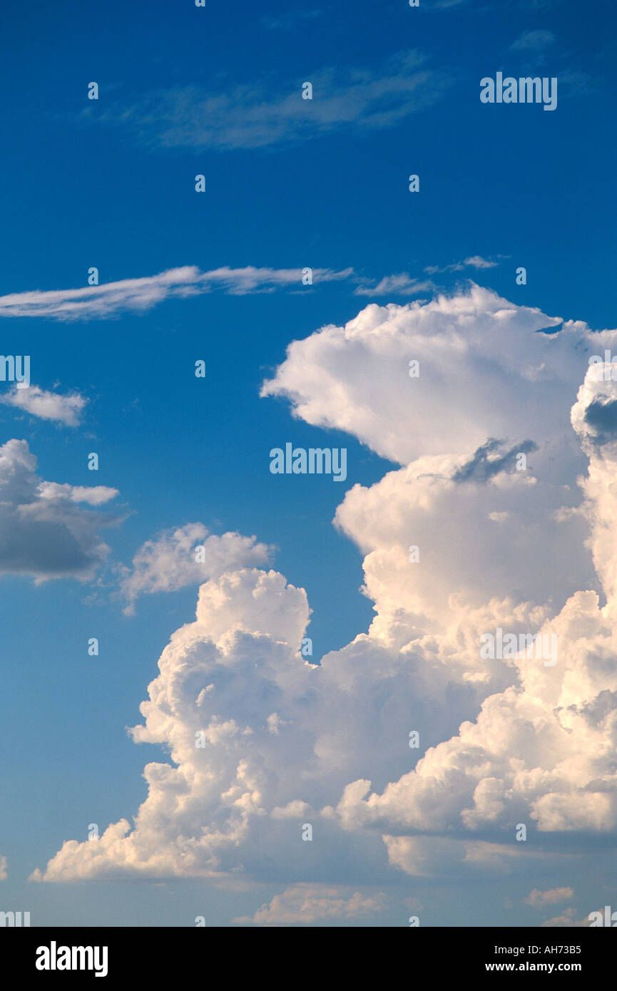 Cumulus nubi in un cielo blu Foto Stock