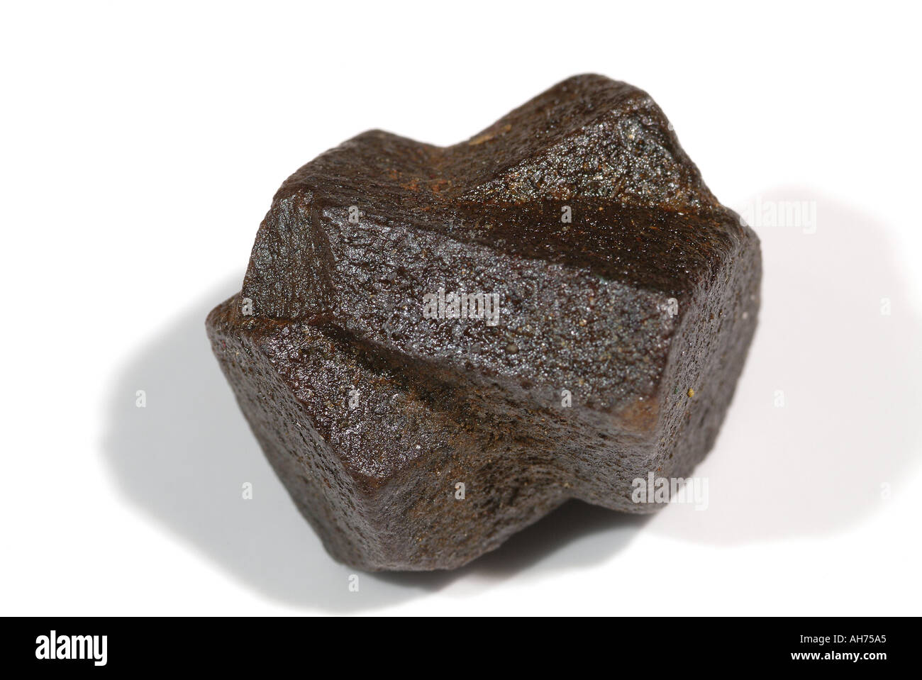 Staurolite minerale, 60 grado twin. Brittany, Francia Foto Stock