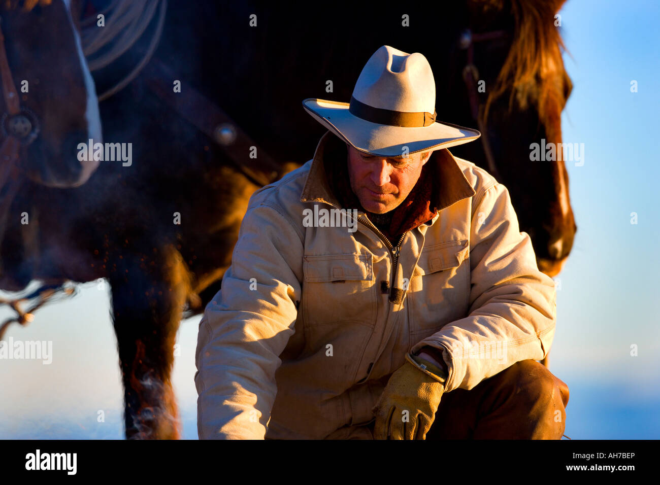 Uomo maturo con i cavalli dietro di lui Foto Stock
