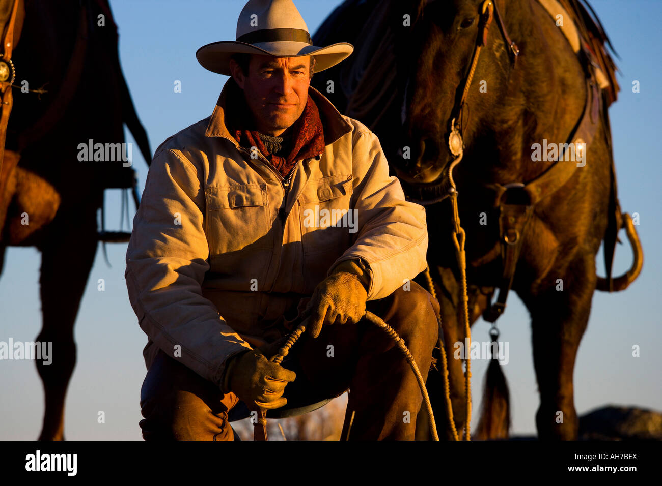 Uomo maturo inginocchiato con un cavallo dietro di lui Foto Stock