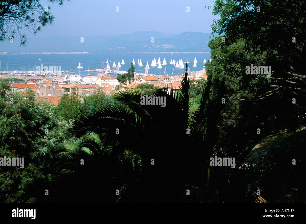 Città vecchia visto dalla Citadelle Presqu'ile de St Tropez Var Cote d Azur Provenza Costa Azzurra Francia Europa Mediterranea Foto Stock