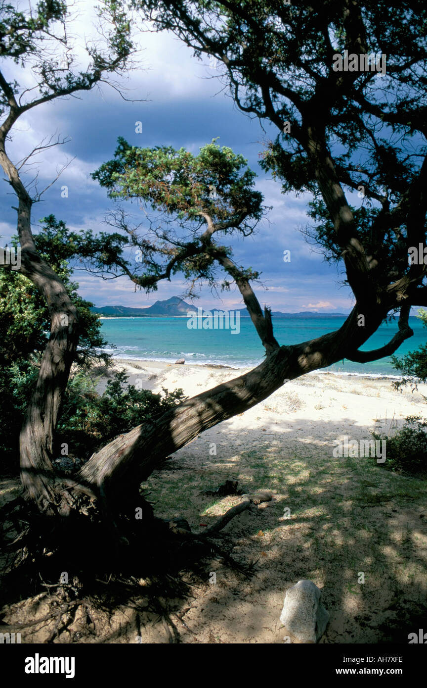 Costa sud-orientale isola di Sardegna Italia Europa Mediterraneo Foto Stock