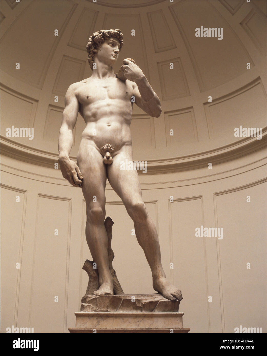 Firenze Italia David di Michelangelo nella Galleria dell'accademia Foto Stock